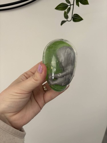 Retro alien birth egg - retro,