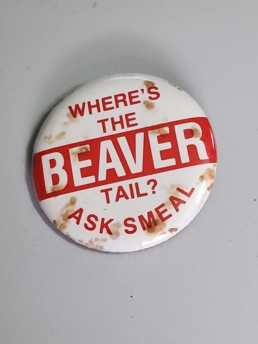Vintage political pinback - vintage,