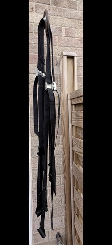Saris bones bike carrier - bones,