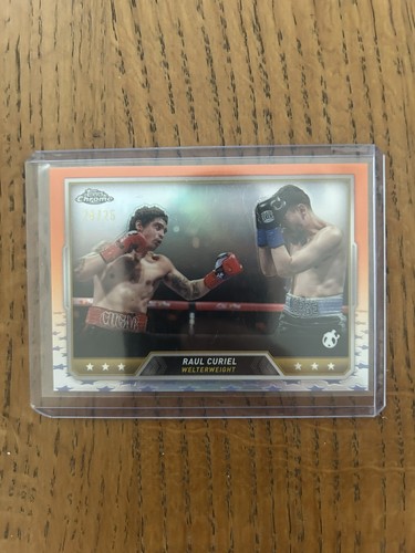 2024 topps chrome boxing raul - boxing,