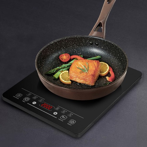 2000w single cooker portable - cooker,
