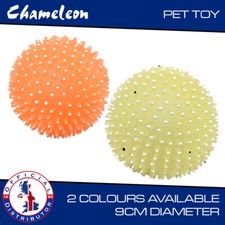 Dog Hedgehog Style Ball for