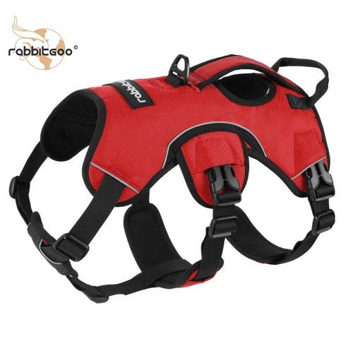 Rabbitgoo escape proof - escape, dog