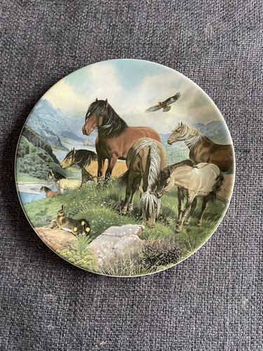 Davenport collectors plate - davenport,