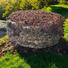 Small Antique York Stone