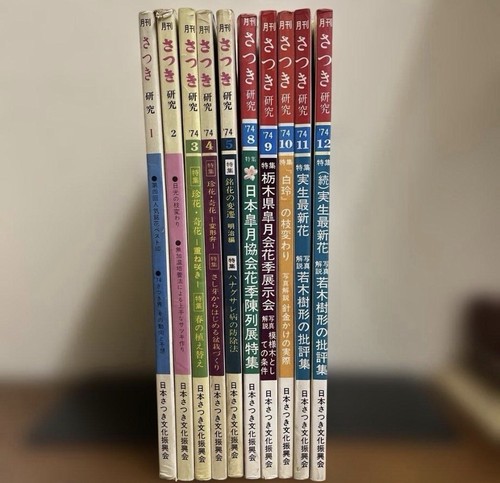 Satsuki kenkyu magazine - satsuki,