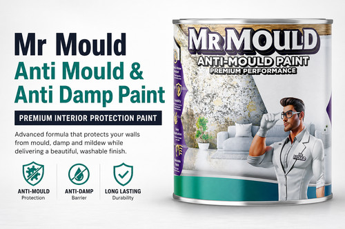 Mould anti paint - mr,