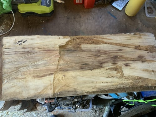 Large spalted ash bowl blank - spalted,
