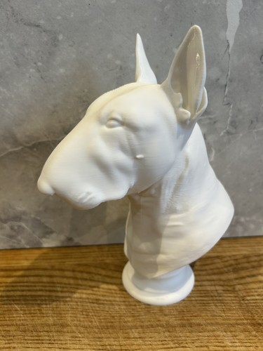 English bull terrier - terrier, bust