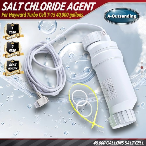 Salt water pool chlorinator - pool,