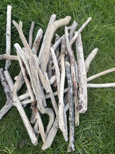 Driftwood pieces art - driftwood,