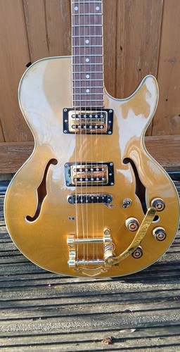 Alden semi hollow - jazz, guitar
