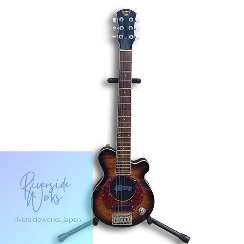 Pignose electric guitar - pignose,