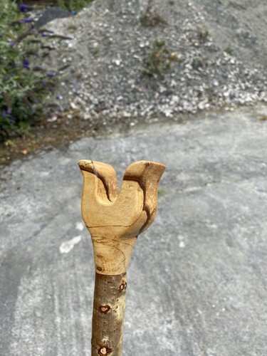 Spalted beech hazel with a - spalted,