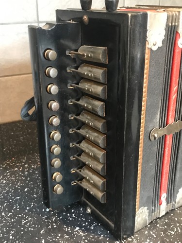 Vintage viceroy accordion - vintage,