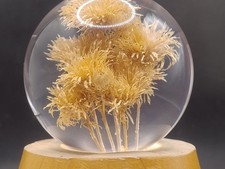 Hafod Grange Welsh 1996 Resin