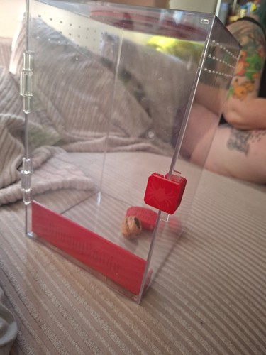 Jumping spider enclosure - spider,