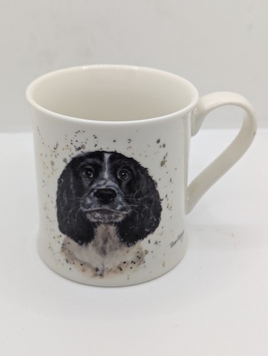 Bree merryn springer - bree, spaniel