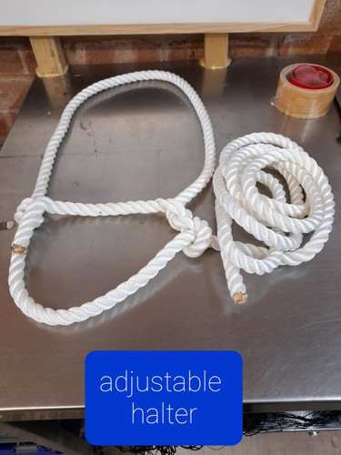 Rope halter white head collar - halter,white,