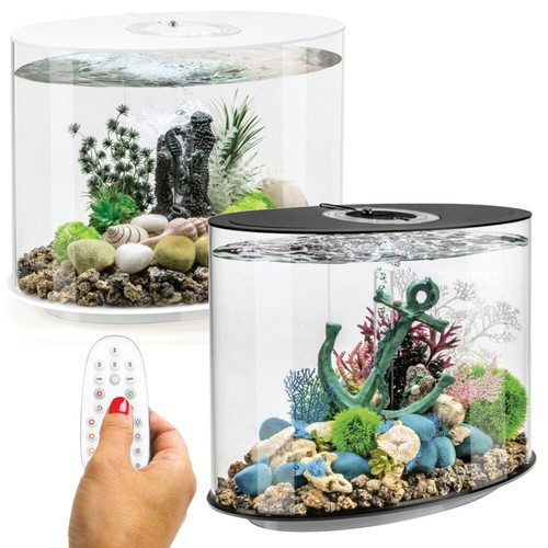 Biorb loop aquarium - biorb, 30l