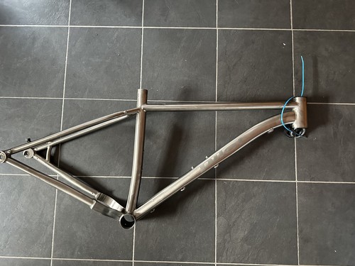 Titanium pilot locum frame - titanium,