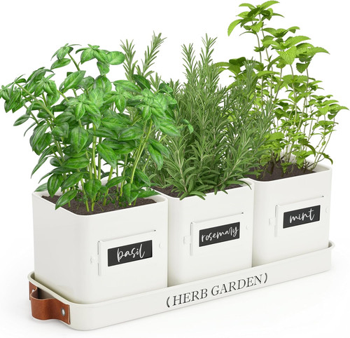 Indoor herb garden planter - indoor,