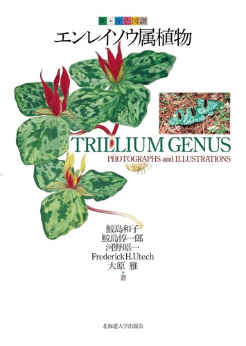 Trillium genus photographs - trillium,