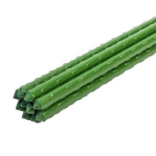 Hydroponics garden plant - garden,