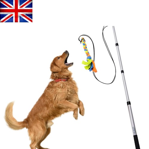 Adjustable flirt pole - flirt,