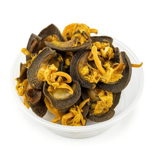Dried bush snails sand free - ,