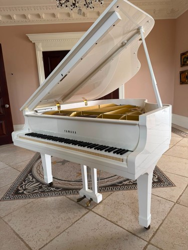Yamaha baby grand - baby,