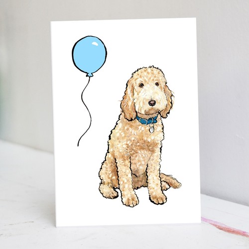 Party labradoodle birthday - party,