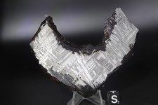 Muonionalusta etched  meteorite full slice Weight 77 grams 3.75 inches