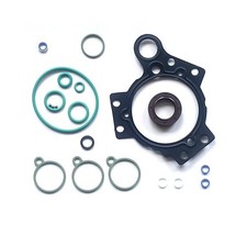Complete seal repair kit for