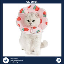 Comfy Recovery Cone Collar for