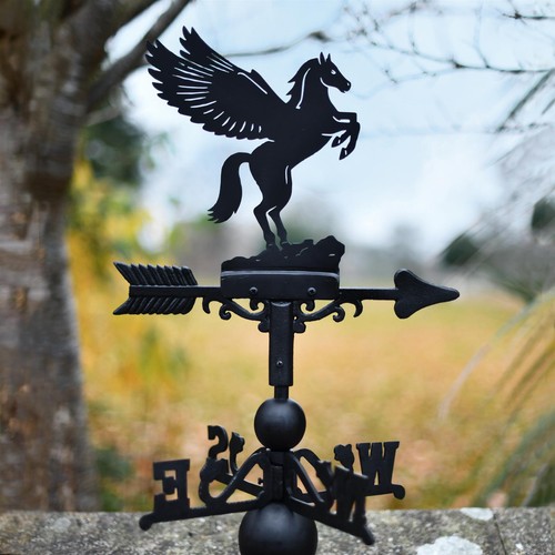 Pegasus black cast iron - black,
