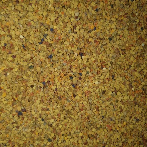 Premium natural bee pollen - premium,
