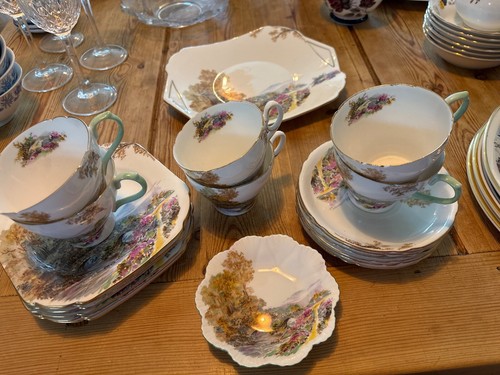 Shelley bone china - bone,