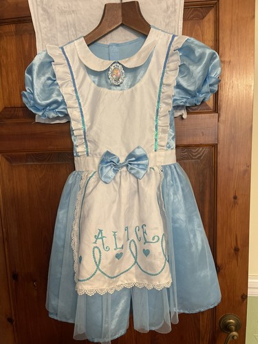 Alice wonderland costume - in,