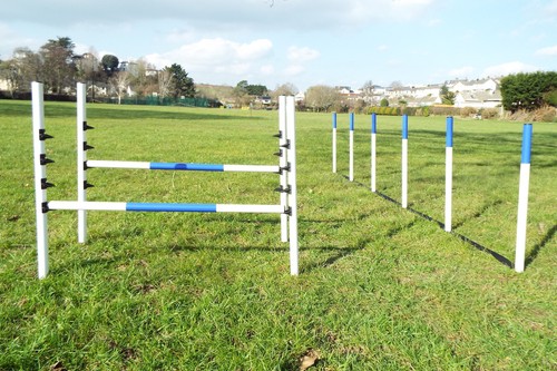 Dog agility equipment set - equipment, 2