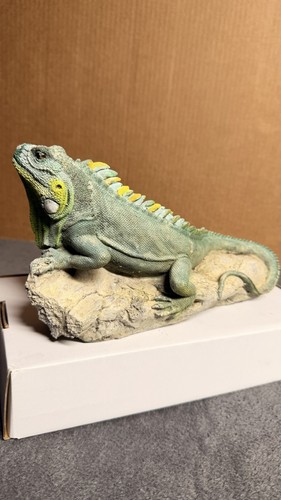 Realistic green iguana - green,