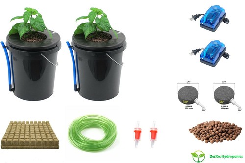 Deep water culture - water, dwc