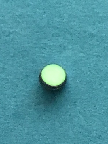 Watch bezel insert - watch, pip