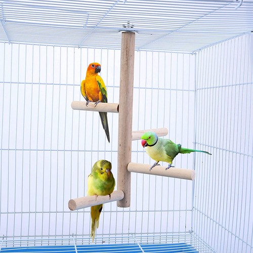 Budgie toys parrot perches - toys,
