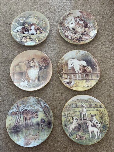 Royal worcester vintage - worcester,