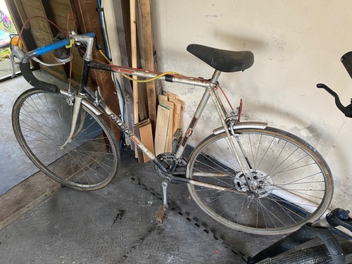 Classic raleigh vintage winner - raleigh,