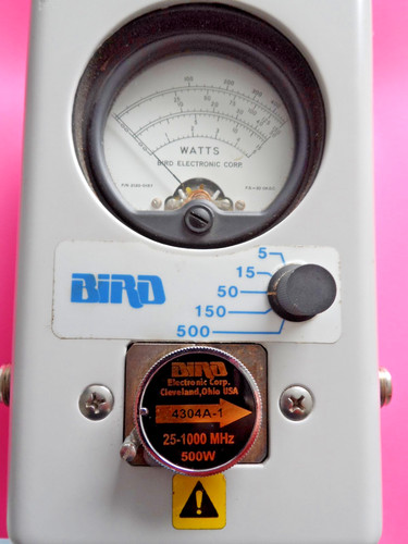 Mint bird 4304a thruline - bird,