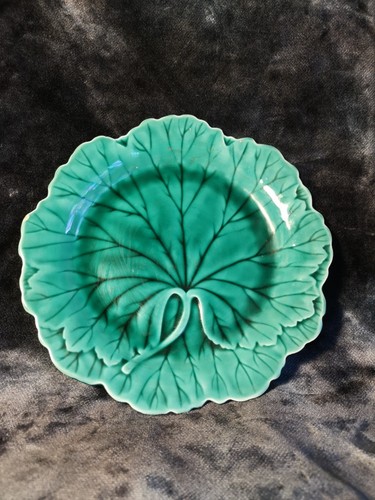 Wedgwood cabbage lily - wedgwood, cabbage/lily