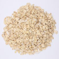 Hammykins Organic Oats Premium Hamster Food treat Syrian & Dwarf Pet