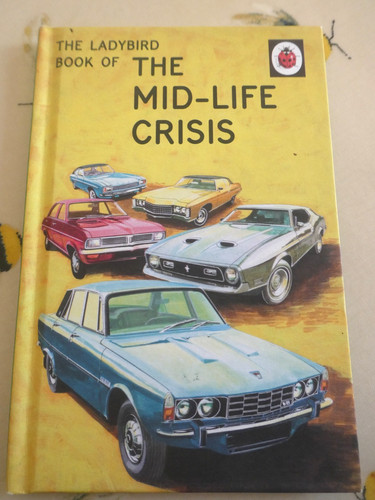 The ladybird book - the,